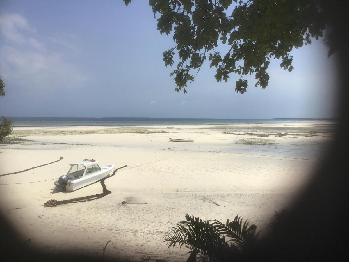 Zanzibar Kusini Beach Bungalows Hotel Kizimkazi Eksteriør billede